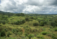 SUPERFICIE BOSCOSA Y USO DE SUELOS EN LOS SANTOS.