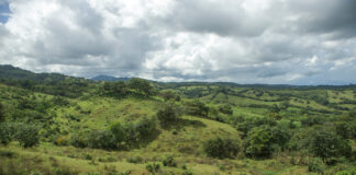 SUPERFICIE BOSCOSA Y USO DE SUELOS EN LOS SANTOS.