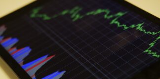 CREACIÓN DE TABLA DE DATOS Y GRÁFICOS INTERACTIVOS