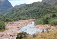 Datos del impacto de la estación seca 2015-2016 en Las Tablas