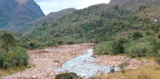 Datos del impacto de la estación seca 2015-2016 en Las Tablas