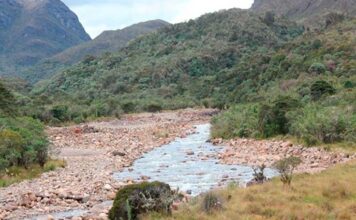 Datos del impacto de la estación seca 2015-2016 en Las Tablas